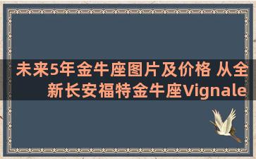 未来5年金牛座图片及价格 从全新长安福特金牛座Vignale就能看出